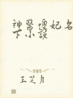 神医傻妃名动天下小说