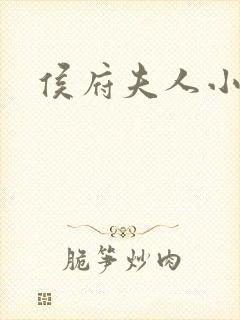 侯府夫人小说