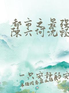 都市之最强狂兵陈六何沈轻舞匹敌