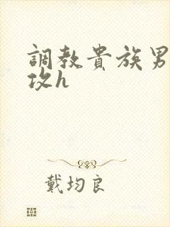 调教贵族男校总攻h