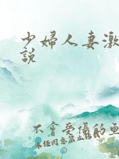 少妇人妻激情小说