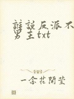 谁说反派不能当男主txt