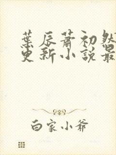 叶辰萧初然最快更新小说最新章节