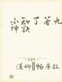 小知了著九天斩神诀