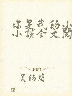 你是我的小确幸小说全文阅读