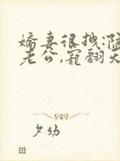 娇妻很拽:隐婚老公,宠翻天