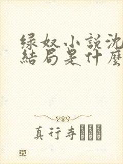 绿奴小说沈哥大结局是什么