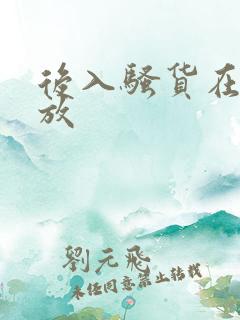 后入骚货在线播放