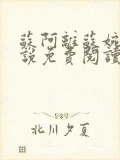 苏阿离苏婉如小说免费阅读笔趣阁