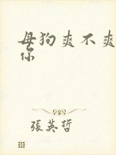 母狗爽不爽操死你