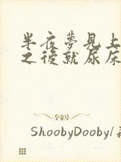 半夜梦见上厕所之后就尿床是怎么回事