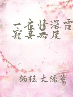 一夜情深霍先生宠妻无度
