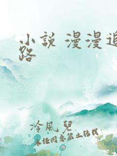 小说 漫漫追妻路