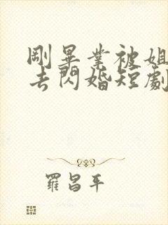 刚毕业被姐姐拉去闪婚短剧免费