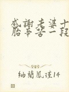 感谢老婆十月怀胎辛苦一段话