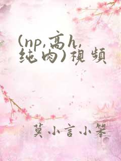 (np,高h,纯肉)视频