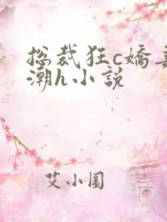 总裁狂c娇妻高潮h小说