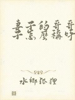 妻子的哥哥的妻子怎么称呼