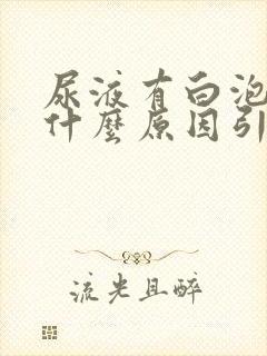 尿液有白泡泡是什么原因引起的