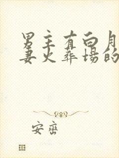 男主有白月光追妻火葬场的小说