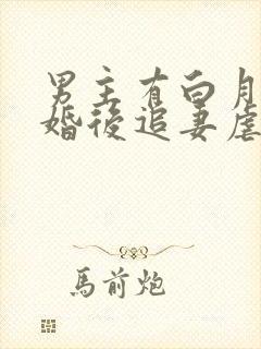 男主有白月光的婚后追妻虐文