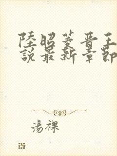 陆昭菱晋王的小说最新章节