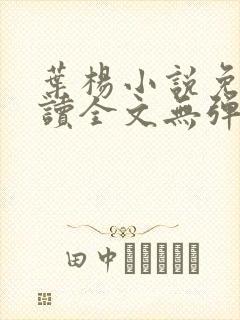 叶杨小说免费阅读全文无弹窗