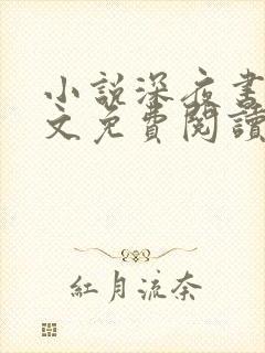 小说深夜书屋全文免费阅读免费