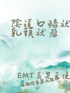 阴道口鳞状上皮乳头状瘤