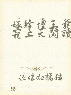 嫁给傻王爷后被宠上天阅读