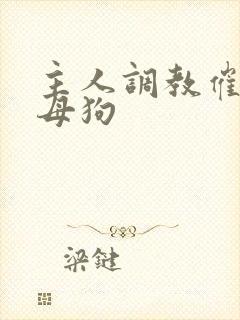 主人调教催眠贱母狗