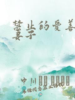 禁止的爱善良的妻子