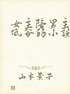 女主陪男主走过低谷的小说