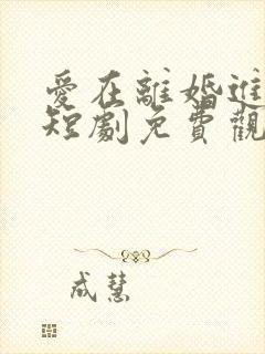 爱在离婚进行时短剧免费观看