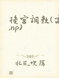 后宫调教(高h,np)