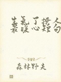 生气了撩人情话最暖心短句