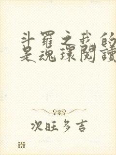 斗罗之我的武魂是魂环阅读