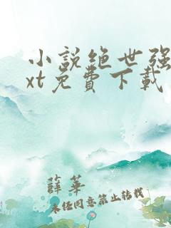 小说绝世强龙txt免费下载