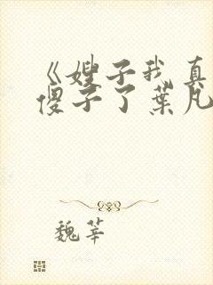 《嫂子我真不是傻子了叶凡》