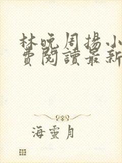 林晚周扬小说免费阅读最新章节