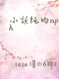 小说纯肉np高h