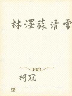 林泽苏清雪小说