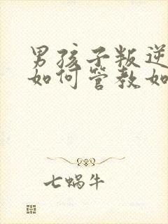 男孩子叛逆期该如何管教如何开导