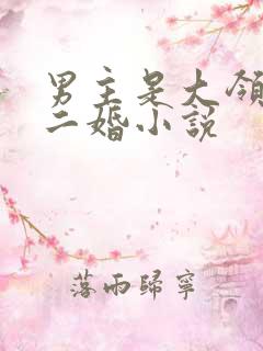 男主是大领导的二婚小说