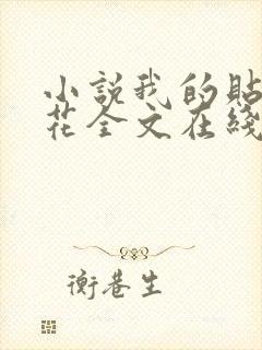 小说我的贴身校花全文在线阅读