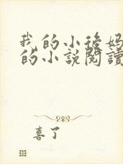 我的小后妈免费的小说阅读