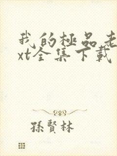 我的极品老婆txt全集下载