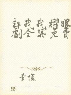 许我我耀眼电视剧全集免费观看下载