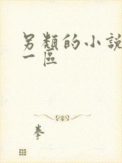 另类的小说激情一区