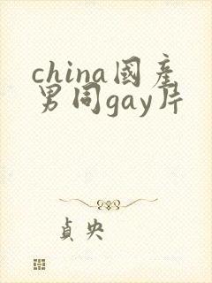 china国产男同gay片